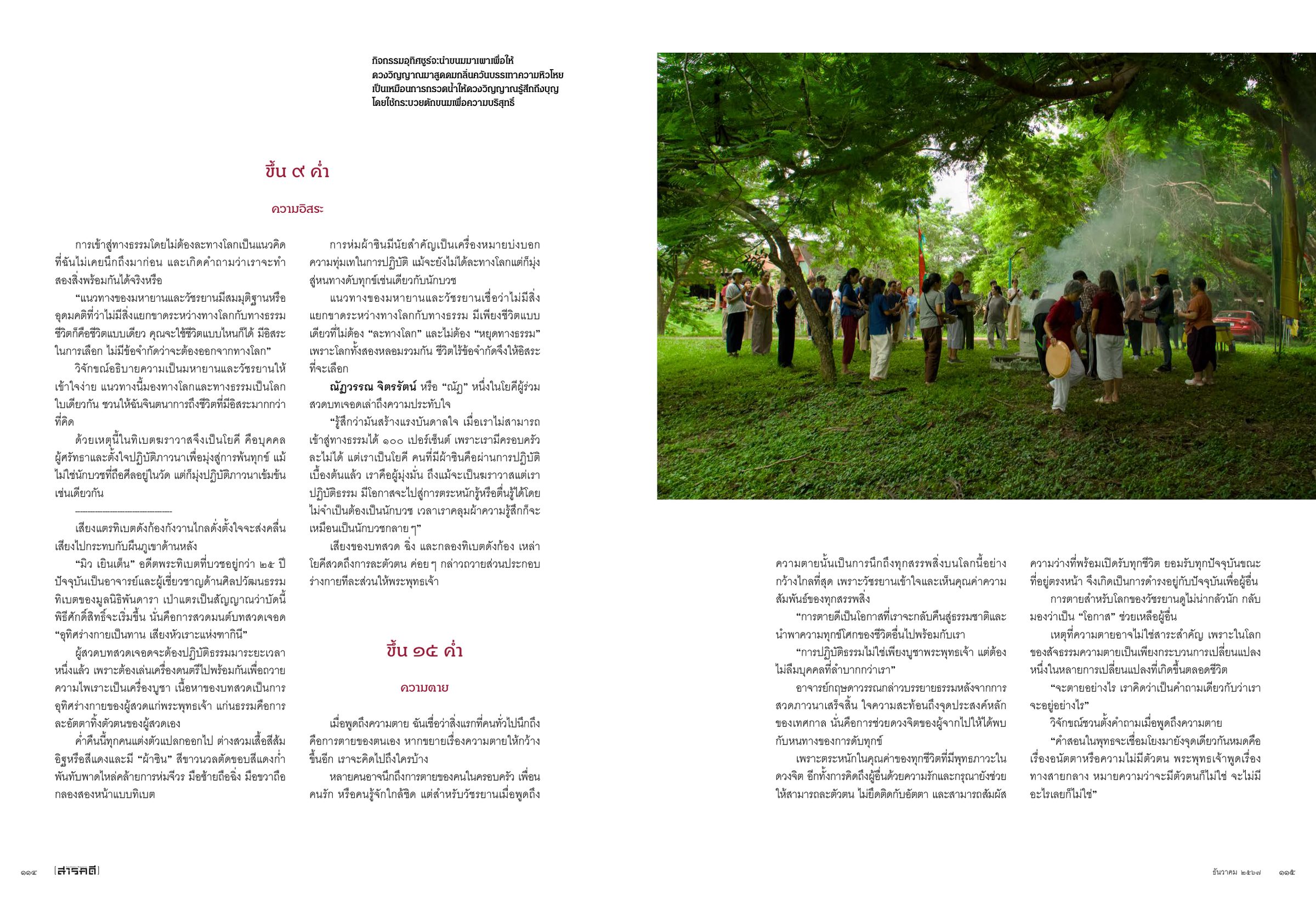 Spread — practitioners gathered under trees in the late afternoon