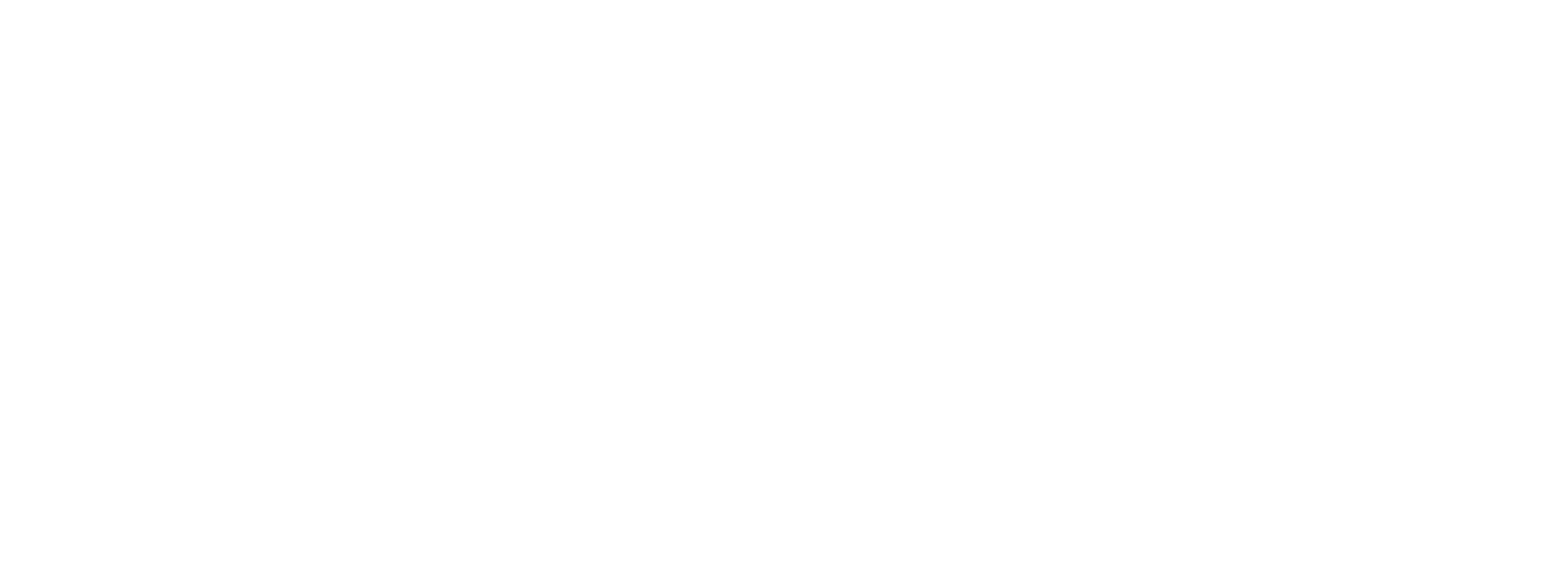 SFT — Siam Flour Group